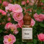 Rose Attar Kannauj