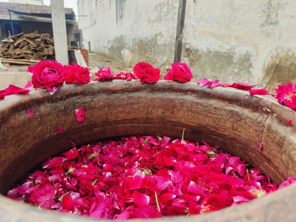 best-perfume-in-kannauj