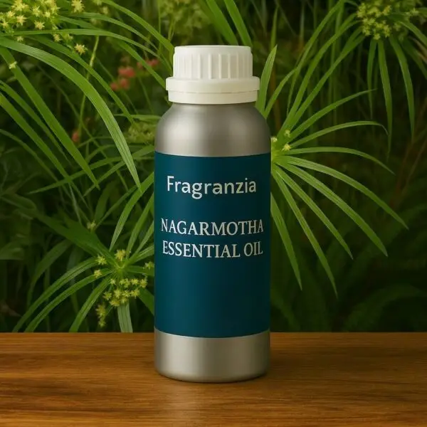 best cyperus oil
